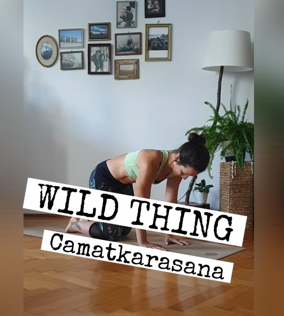 Yoga für RadfahrerInnen - Let`s do the Wild Thing 7